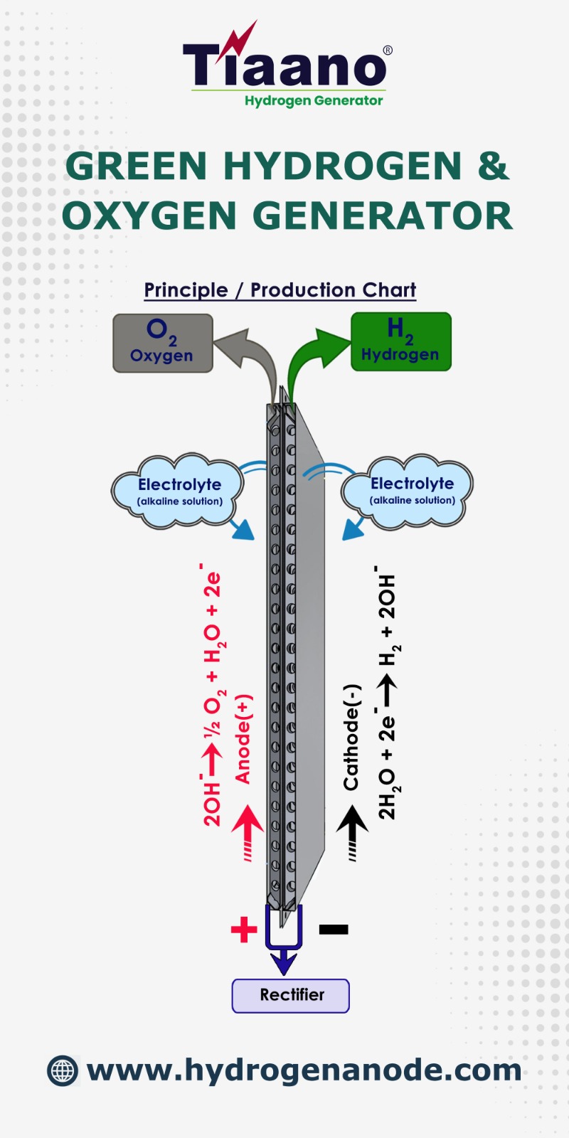 GREEN HYDROGEN ELECTROLYZER